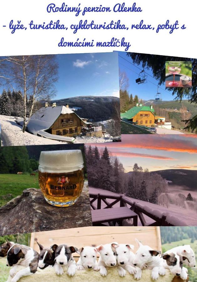 Penzion Alenka Špindlerŭv Mlýn Exteriör bild