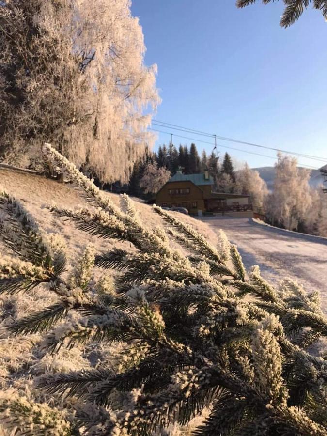 Penzion Alenka Špindlerŭv Mlýn Exteriör bild