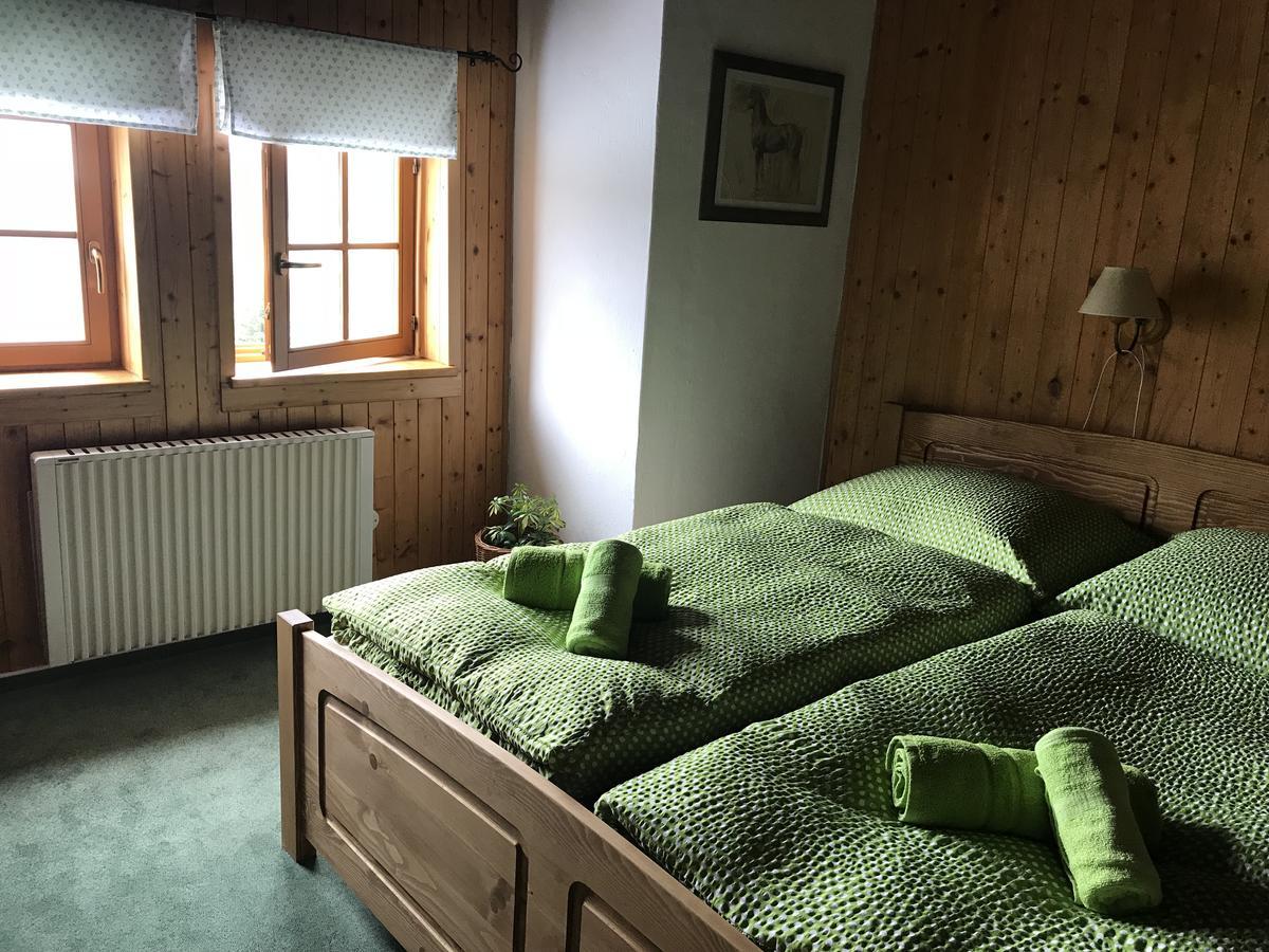 Penzion Alenka Špindlerŭv Mlýn Exteriör bild